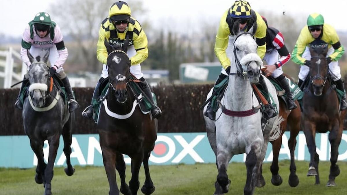 The Biggest Horse Racing Fixtures In January 2023